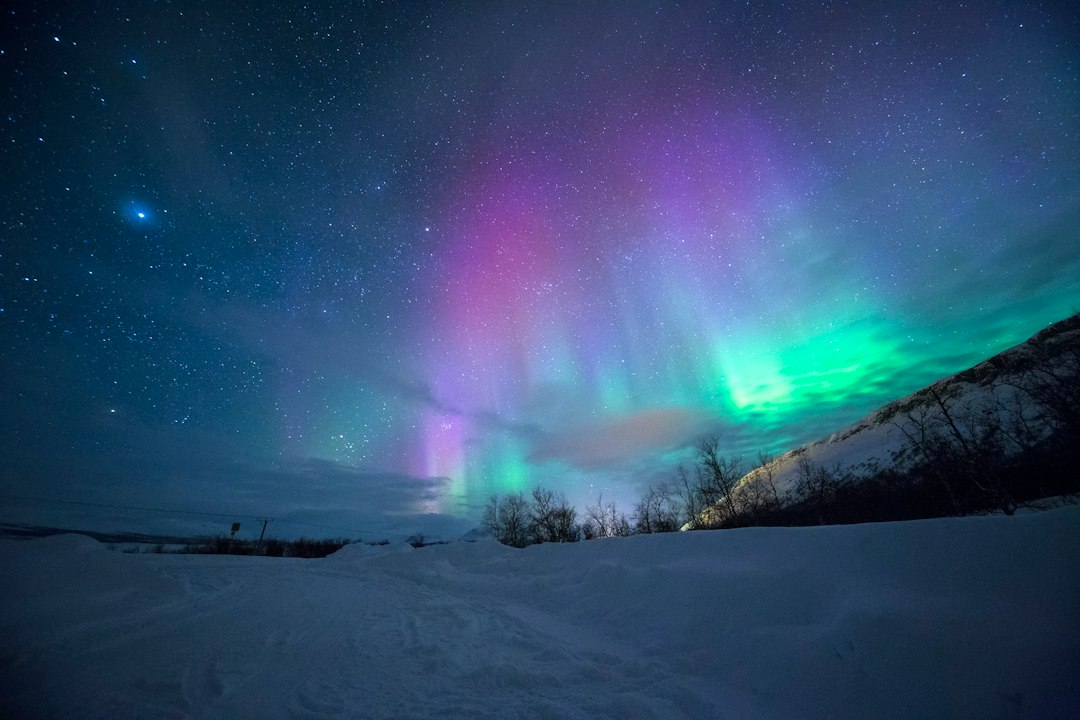 Aurore boréale aux reflets verts et violets au-dessus de Tromsø, en Norvège