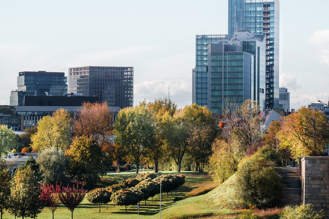 A view of a city from a park