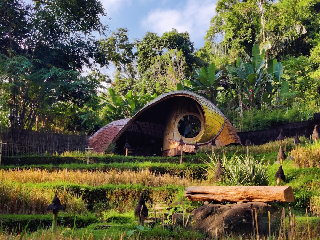 A unique house nestled in lush greenery.