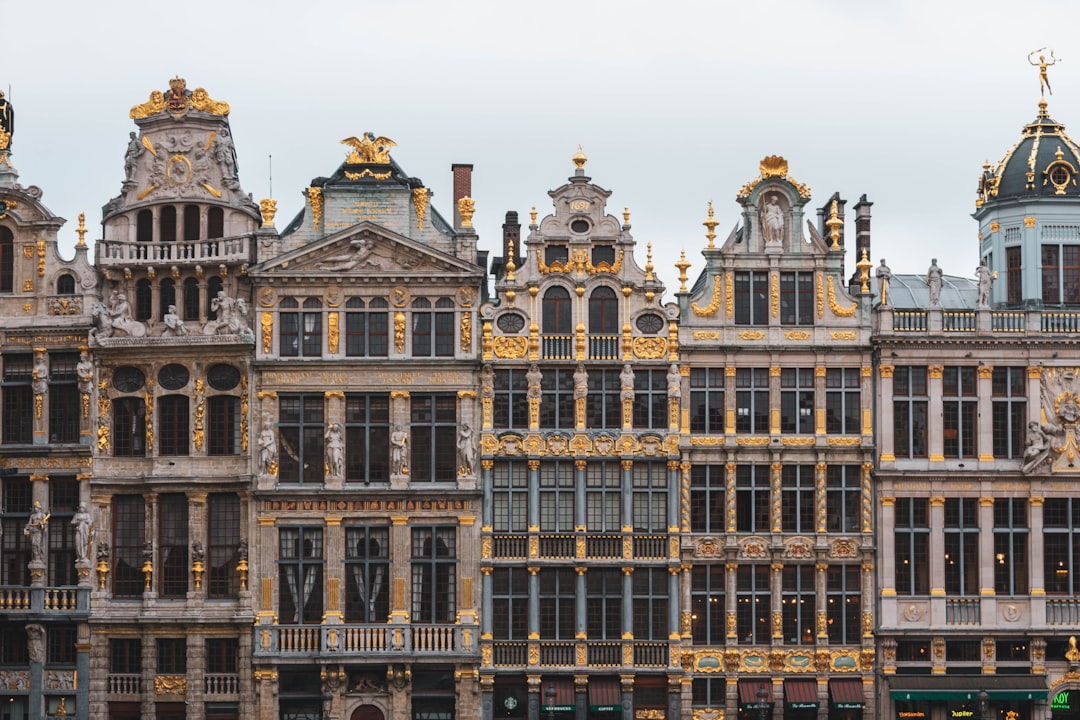 Façades dorées de la Grand-Place de Bruxelles sous un ciel lumineux