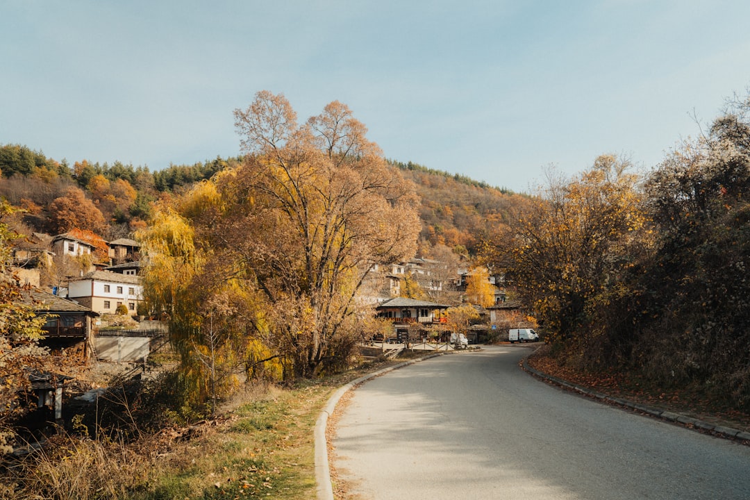 Route de village sinueuse en Europe centrale en automne, avec maisons traditionnelles entourées d'arbres aux couleurs dorées