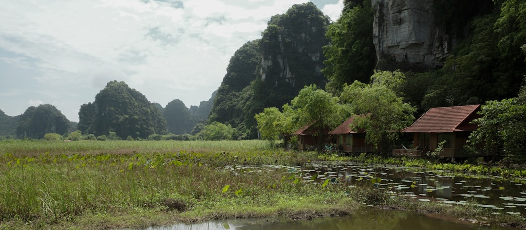 Two rustic huts nestled beside a lush green rice paddy.