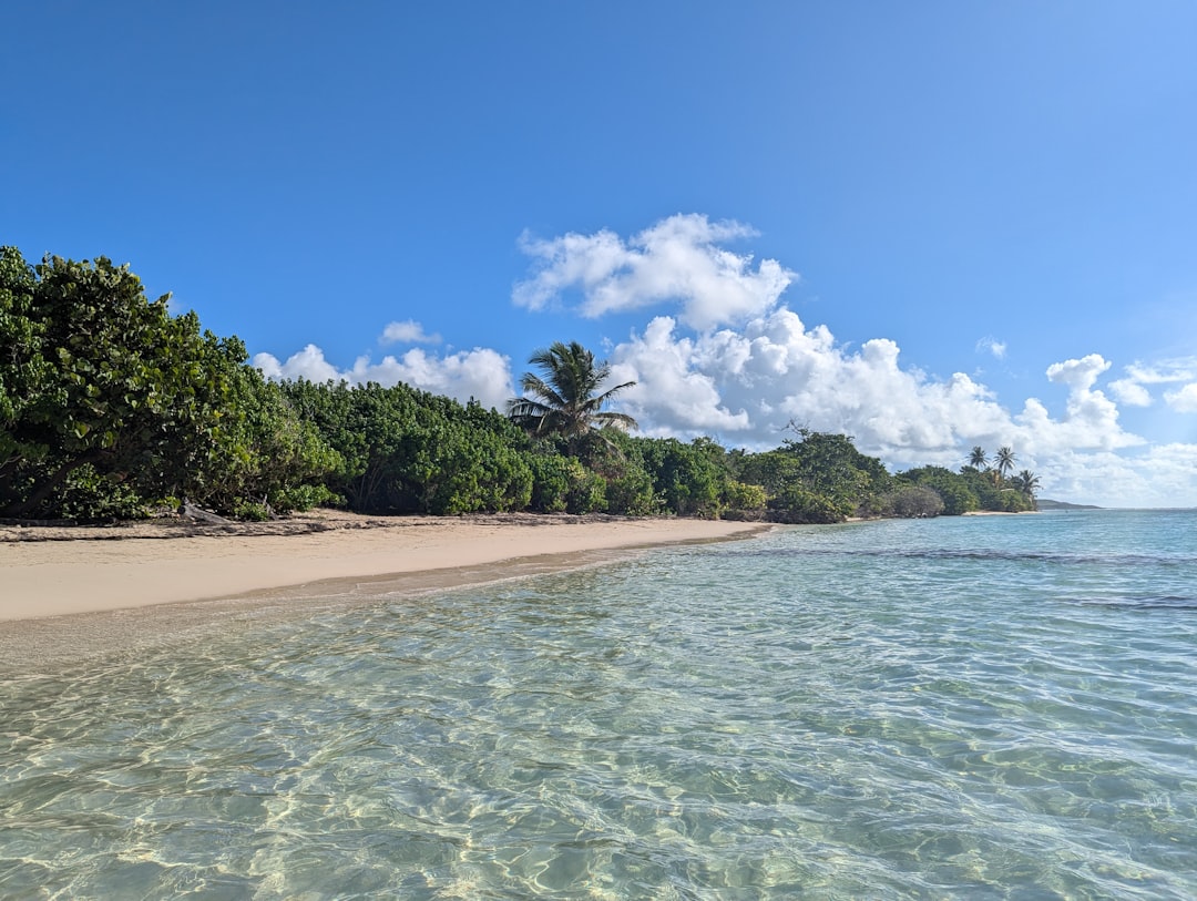 Plage eau turquoise Guadeloupe cocotiers