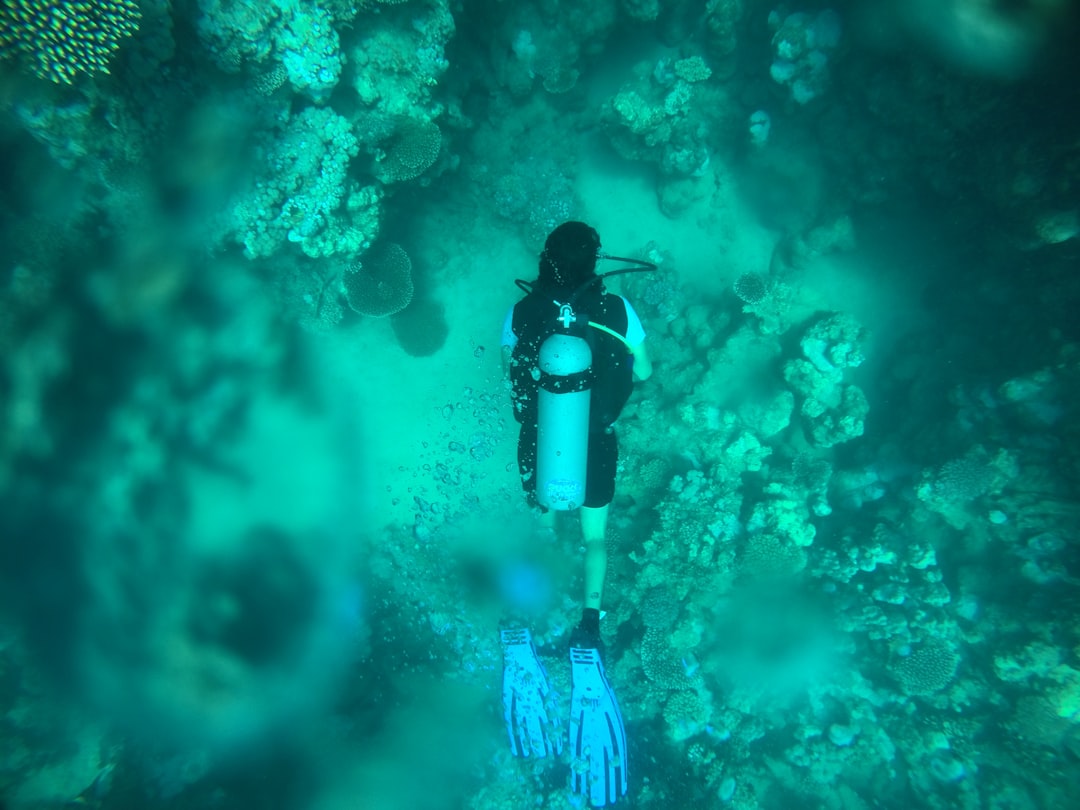 Plongée sous-marine en Mer Rouge, Égypte