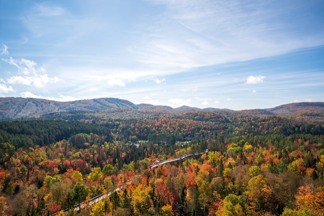 Forêt québécoise aux couleurs de l'été indien, feuillage flamboyant sous un ciel bleu