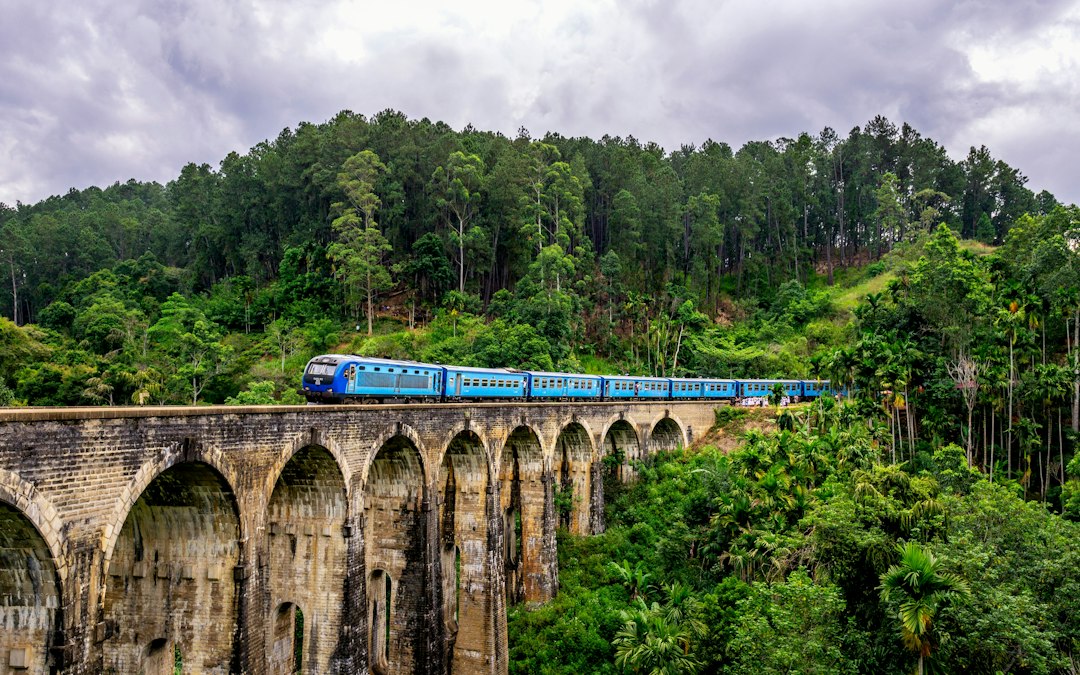 Le pont aux Neuf Arches à Ella, au Sri Lanka, entouré de végétation