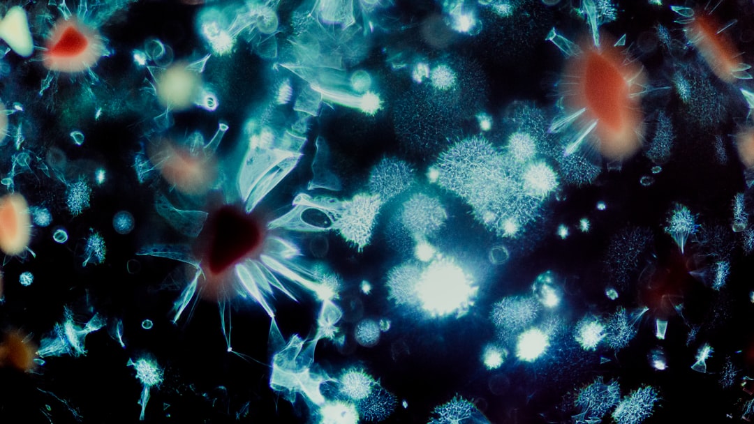 Microscopic view of glowing blue and red organisms