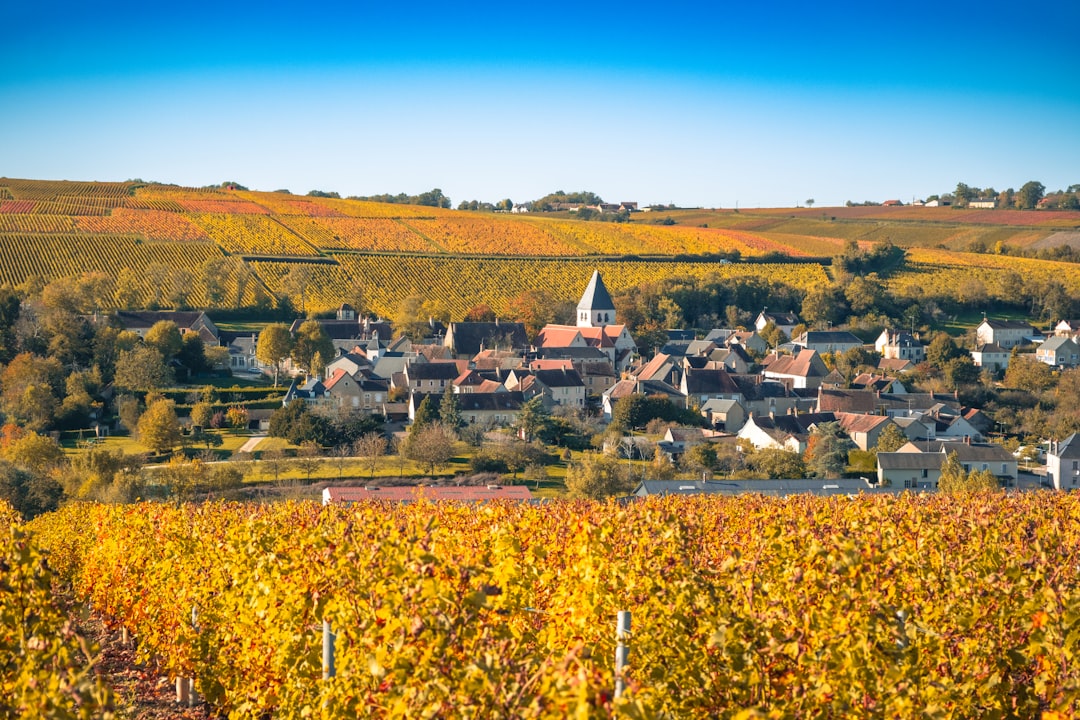 Le hameau de Sury-en-Vaux entouré de vignes automnales colorées dans la région viticole de Sancerre, en vallée de la Loire